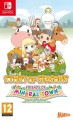 story-of-seasons-friends-of-mineral-town-cover.cover_large.jpg